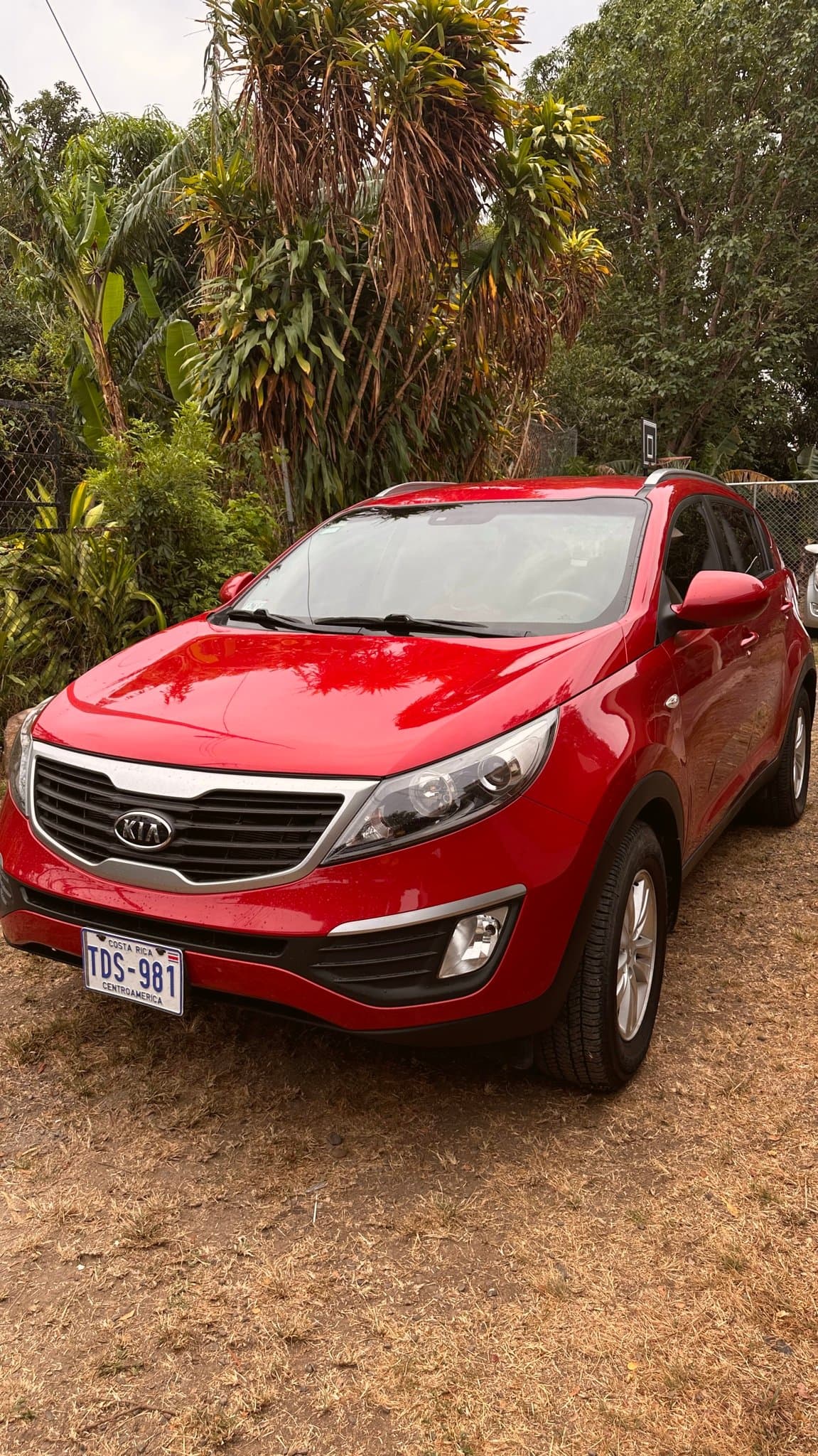 kia sportage 2012 Image 1